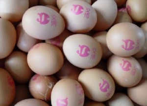 ���a�C(j��)���ݵ��ИI(y��)�đ�(y��ng)��